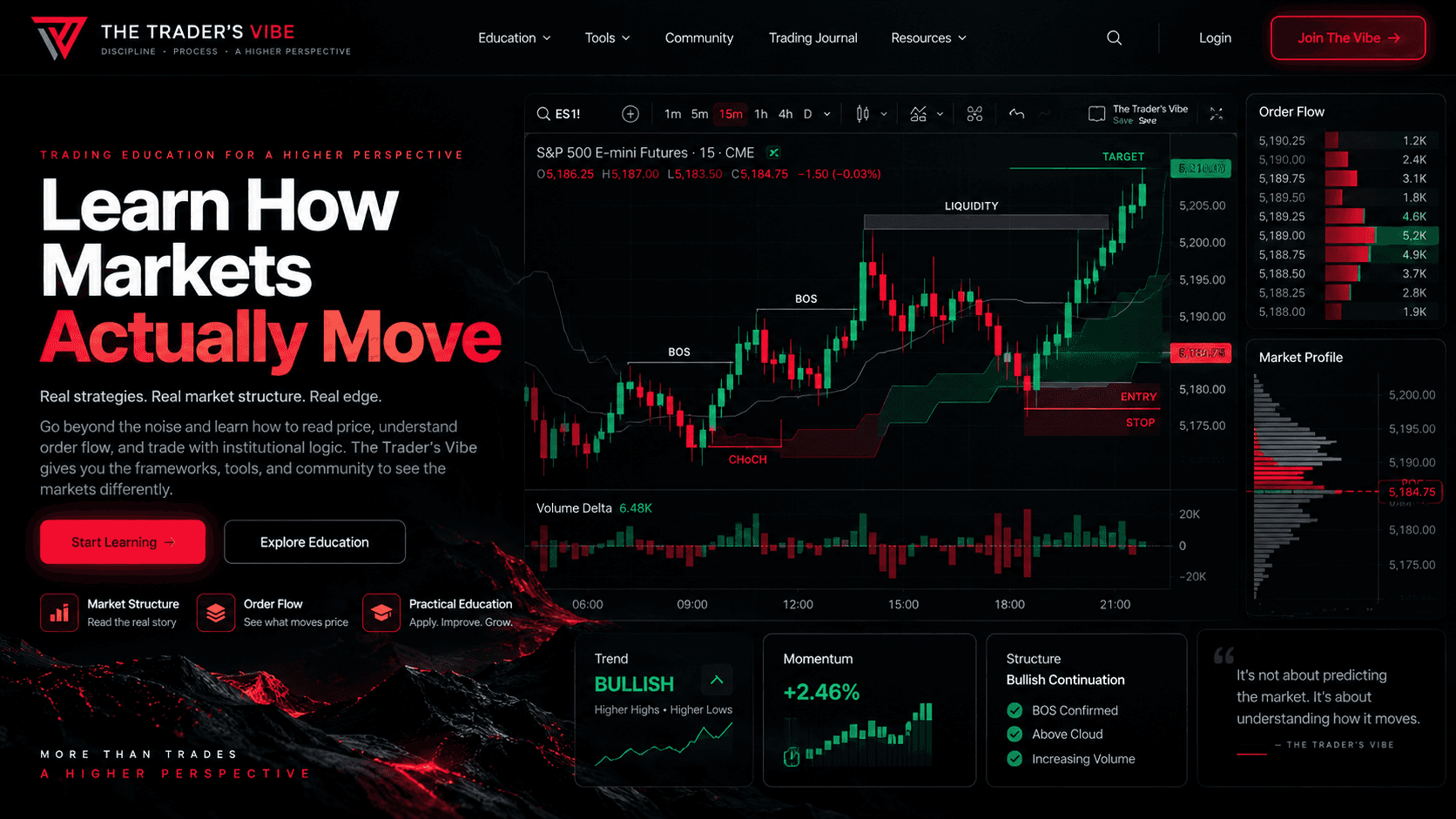 Structured trading education from The Traders Vibe